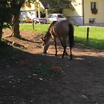 Pri Bostjanovcu Apartament *