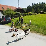 Pri Bostjanovcu