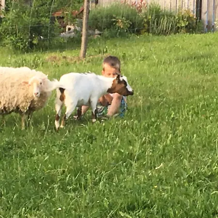 Pri Bostjanovcu Appartamento *