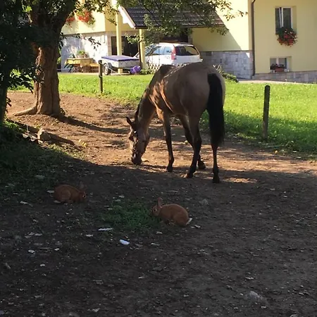 Pri Bostjanovcu Lägenhet *