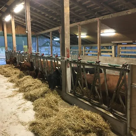 Apartment Pri Bostjanovcu *