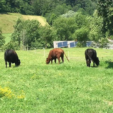 Appartamento Pri Bostjanovcu