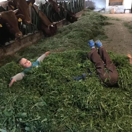 Pri Bostjanovcu Appartamento Gorenja Vas (Gorenja Vas-Poljane)