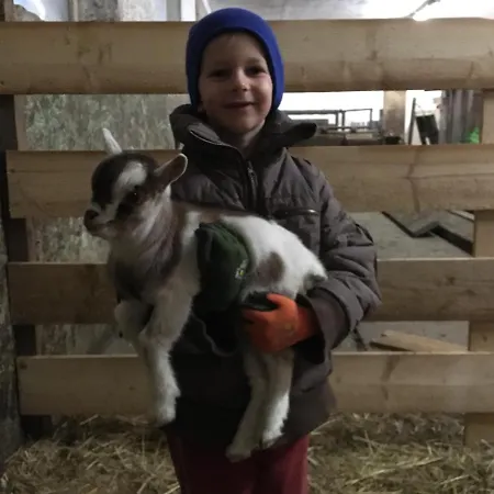 Pri Bostjanovcu Apartment *