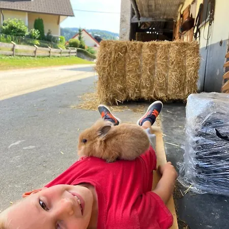 Pri Bostjanovcu Appartamento