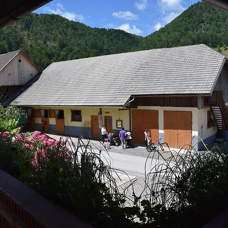 Apartment Pri Bostjanovcu Gorenja Vas (Gorenja Vas-Poljane)