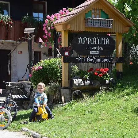 Apartment Pri Bostjanovcu