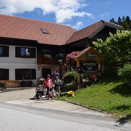 Apartment Pri Bostjanovcu Gorenja Vas (Gorenja Vas-Poljane)