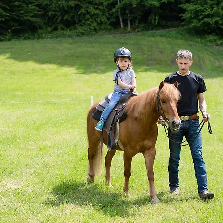 Appartamento Pri Bostjanovcu Gorenja Vas (Gorenja Vas-Poljane)