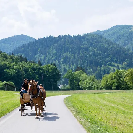 Pri Bostjanovcu * Gorenja Vas (Gorenja Vas-Poljane)