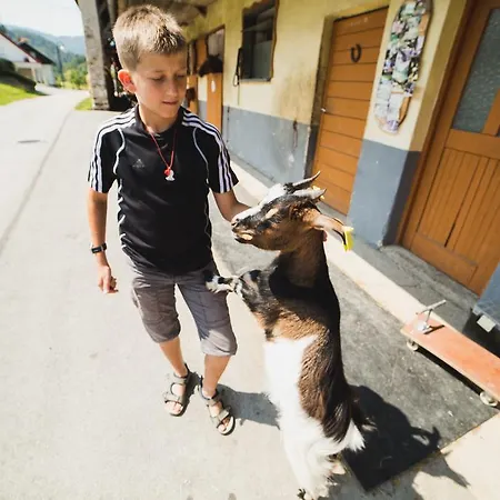 Pri Bostjanovcu Appartamento Gorenja Vas (Gorenja Vas-Poljane)