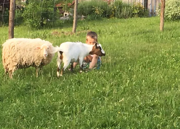 Pri Bostjanovcu Apartma *