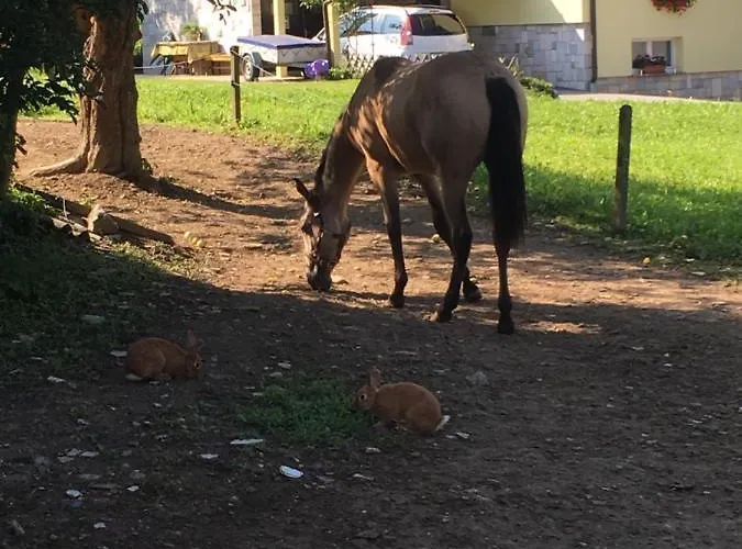 Pri Bostjanovcu Apartma *