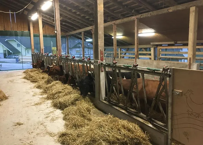 Apartma Pri Bostjanovcu *