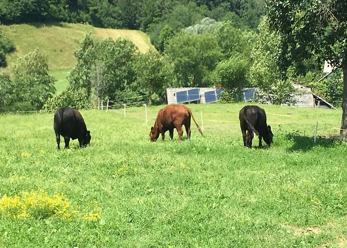 Apartma Pri Bostjanovcu