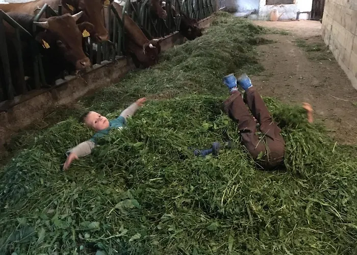 Pri Bostjanovcu Apartma Gorenja Vas (Gorenja Vas-Poljane)