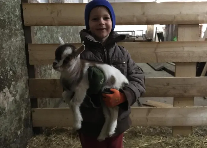 Pri Bostjanovcu Apartma *