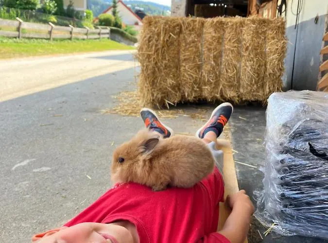 Pri Bostjanovcu Apartma