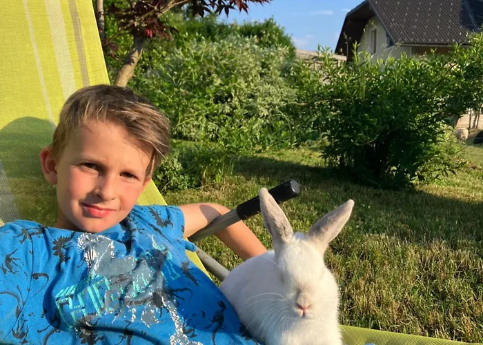 Apartma Pri Bostjanovcu *