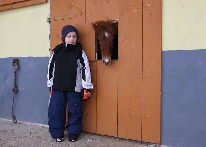 Pri Bostjanovcu Gorenja Vas (Gorenja Vas-Poljane)