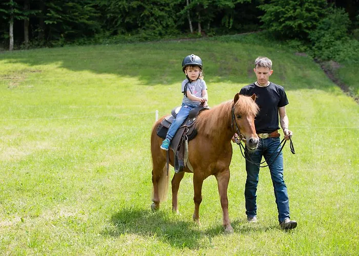 Apartamento Pri Bostjanovcu Gorenja Vas (Gorenja Vas-Poljane)