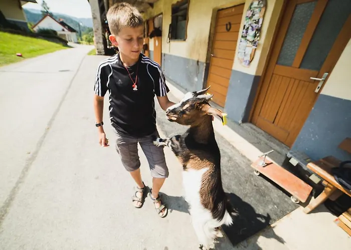 Pri Bostjanovcu Apartamento Gorenja Vas (Gorenja Vas-Poljane)